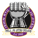 Ishin Ryu Logo
